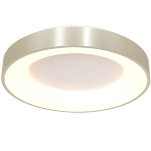 Plafondlamp RInglede 2563ZI Zilver Ø48cm