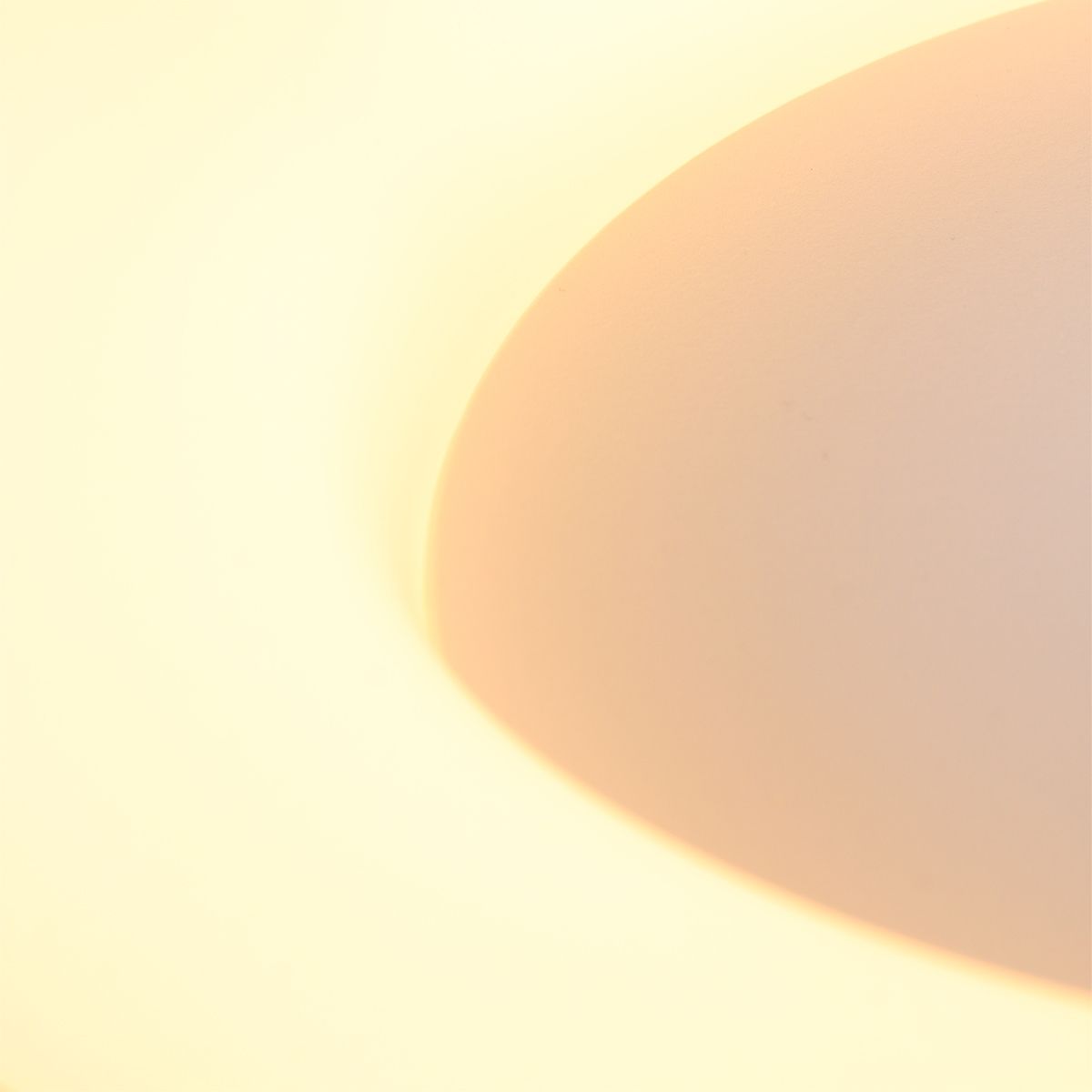 Plafondlamp Ringlede 3086ZW Zwart Ø30cm - Afbeelding 15